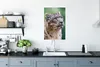 MuchoWow® Poster Schneeleopard - Kopf - Grau 60x90 cm - Produktbild-Vorschau 3