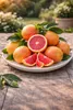 Pamplemoussier Star Ruby 120-140 cm – Pamplemoussier/Pomelo Voir les images du produit 3