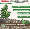 Blusana Mineralisches Pflanzsubstrat 10 Liter vorgedüngt Produktbild-Vorschau 4