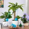 Relaxdays Tonkegel Bewässerung, 4er Set, für 1,5L Flaschen, Produktbild-Vorschau 5