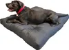 A large gray dog is lying on a gray dog bed. Produktbild-Vorschau