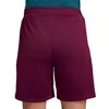 Nike Paris Saint-Germain Dri-FIT Strike Short Herren Voir les images du produit 2