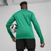 Puma Teamgoal Trainingssweat Herren - Grün Produktbild-Vorschau 6