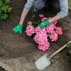 Hortensien-Erde 20 l - Hochwertig - Nährstoffreich - Für Produktbild-Vorschau 4
