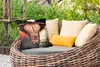 MuchoWow® Outdoor Kissen - Schottisches Hochlandrind - Baum Produktbild-Vorschau 3
