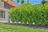 Gardena Micro-Drip-System Set siepi/arbusti 25m Anteprima dell’immagine prodotto 9
