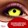 Zoelibat Eyecatcher Sclera 6 Monats-Kontaktlinsen Black Produktbild-Vorschau 9