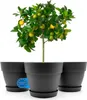 BigDean 3 Stück Blumentopf mit Untersetzer rund ø47 cm in Produktbild-Vorschau 9