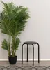 A black metal stool is placed next to a potted palm plant against a light gray wall. Náhľad obrázku produktu