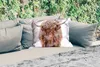 MuchoWow® Outdoor Kissen - Schottisches Hochlandrind - Produktbild-Vorschau 2