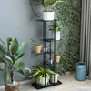 A black metal plant stand with multiple shelves holding various potted plants, set against a gray wall with ivy growing on it. A blue cylindrical container is visible on the right. Produktbild-Vorschau