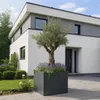 UNUS Pflanzkübel Deko Garten quadratisch 80x80x80cm Produktbild-Vorschau 5
