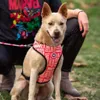 Hundegeschirr Marvel Reversibel S/M Rot Produktbild-Vorschau 8
