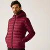 REGATTA Herren Steppjacke Hooded Marizion Produktbild-Vorschau 4