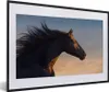 MuchoWow® MuchoWow® Gerahmtes Poster Pferd - Luft - Mähne Produktbild-Vorschau 1