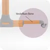 Lettino MoMi SMARTBED 4in1 - regolazione angolare, Anteprima dell’immagine prodotto 14