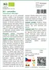 SAFLAX - BIO - pampeliška - Taraxacum officinale - 400 Náhled obrázku produktu 3