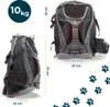 Petsworld Hunderucksack für Hunde bis 10 kg, flugtauglich & Produktbild-Vorschau 4