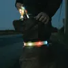 Guinzaglio e collare luminosi per cani – Guinzaglio per Anteprima dell’immagine prodotto 3