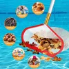 A pool skimmer net is shown in a swimming pool, with various items that can be collected by the skimmer illustrated in circular insets around it. Produktbild-Vorschau