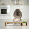 Stazione di alimentazione per gatti Relaxdays con vaschetta Anteprima dell’immagine prodotto 5