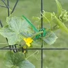 INF 50 Packungen 11 cm Pflanzenbinder für den Garten, Produktbild-Vorschau 5