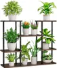 A multi-tiered plant stand filled with various potted plants. Podgląd zdjęcia produktu