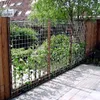 A garden fence with climbing plants and a house in the background. Podgląd zdjęcia produktu