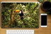 MuchoWow® Laptop Aufkleber Sticker Cover Vogel - Tukan - Produktbild-Vorschau 2