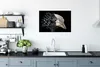 MuchoWow® Poster Vogel - Schnabel - Federn 90x60 cm - Produktbild-Vorschau 3