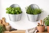 Zink Wandampel Wandtopf Pflanzgefäß 19x10xH11/20cm Garten Produktbild-Vorschau 2