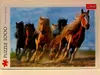 Puzzle 1000 : Chevaux au galop Voir les images du produit 5