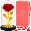 Rose éternelle en dôme de verre avec lumière LED | Fleur de Voir les images du produit 1