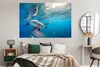 MuchoWow® Poster Delfin - Sonne - Wasser 180x120 cm - Produktbild-Vorschau 4