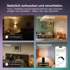 OSRAM 4099854529900 Classic filament bulb shapes with Produktbild-Vorschau 8