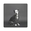 MuchoWow® Mauspad Mousepad Hund - Spot - Porträt 20x20 cm - Produktbild-Vorschau 1
