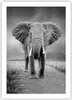 Poster - Poster ohne Rahmen - Elefant Wildnis Natur - 50x70 Produktbild-Vorschau 1