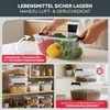BOXXivo Aufbewahrungsbox 60L mit Deckel  im 2er Set – Produktbild-Vorschau 7