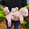 Mama świnka z 3 młodymi świnkami Podgląd zdjęcia produktu 5