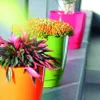Three colorful planters with plants on a ledge. Anteprima dell’immagine prodotto
