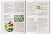 El Libro de Los Remedios Herbales Olvidados: El Poder Vista previa de la imagen del producto 3