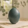 Echtes Emu Ei Natur 13 cm – ausgeblasenes Deko Ei Produktbild-Vorschau 2