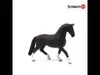 schleich HORSE CLUB 13927, 5 rok/roky, Horses, Černá, Náhled obrázku produktu 5