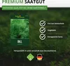 Dill Gewöhnlicher Samen - Anethum graveolens - Dillsamen - Produktbild-Vorschau 9
