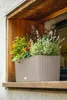LECHUZA Bac à plantes BALCONERA Cottage 50 Marron sable | Voir les images du produit 4