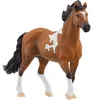 Schleich Horse Club        13978 Mangalarga Marchador Produktbild-Vorschau 1