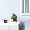 A digital clock sits on a white nightstand next to a potted succulent plant and a candle. Produktbild-Vorschau