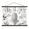 MuchoWow® Textilposter Koniferen - Ernst Haeckel - Kunst - Produktbild-Vorschau 1