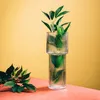 Váza z průhledného skla HOMLA LIMPID 24 cm Náhled obrázku produktu 4