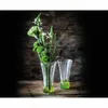 Nachtmann Vases de table SET/2 7592/2pcs Spring Lime UK/6 Voir les images du produit 4